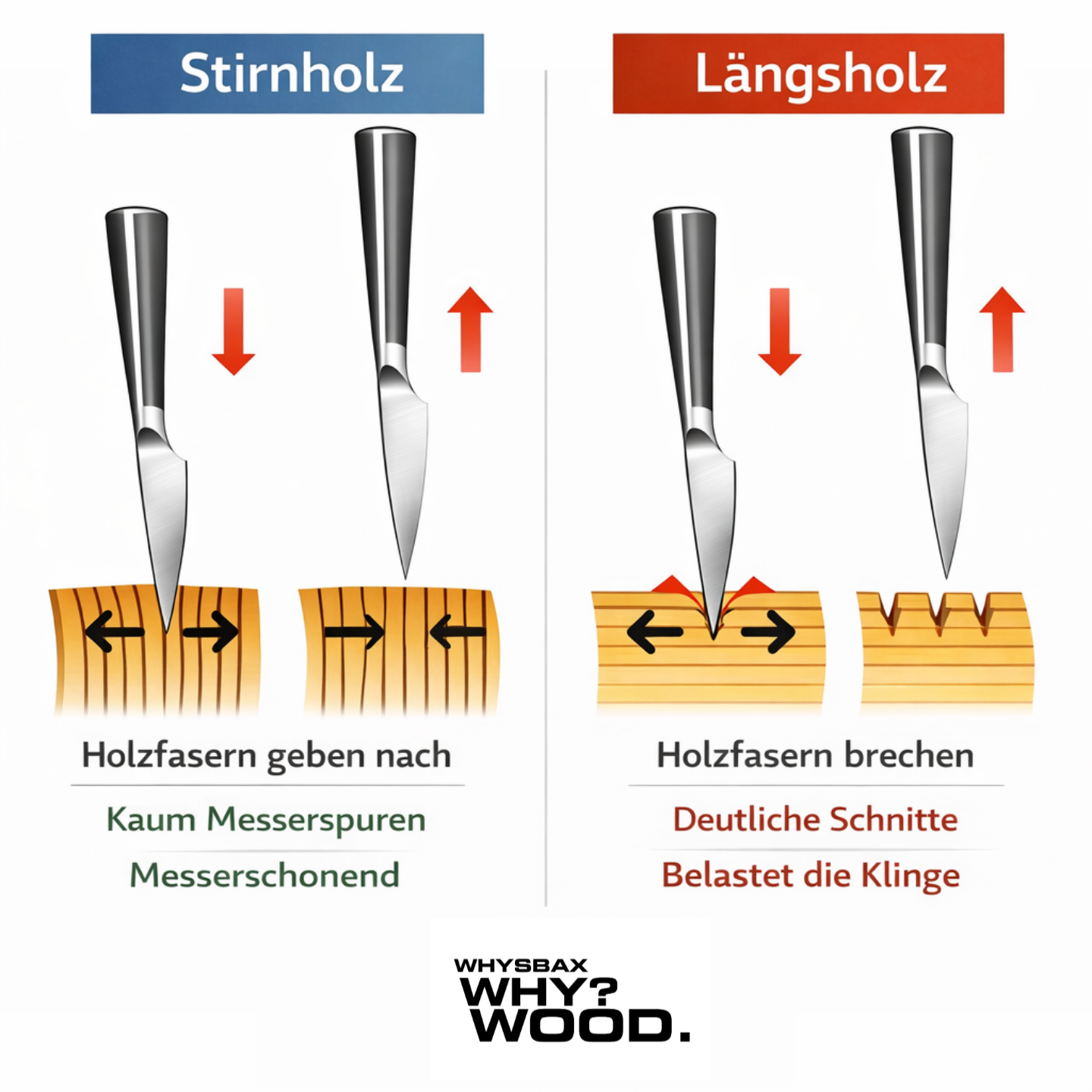 WHYSBAX Stirnholz-Schneidebrett aus massivem Eichenholz mit Edelstahl-Gastrobehälter